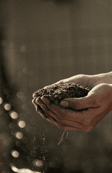 Agriculture Agriculture