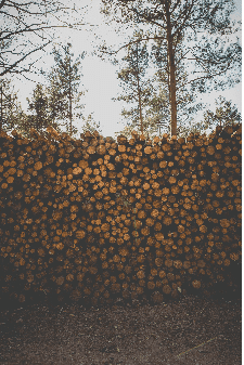 Forestry Forestry